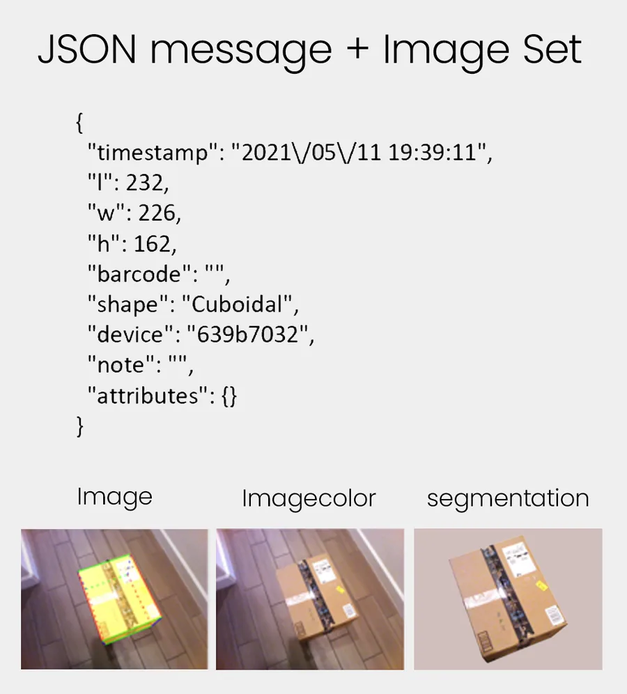 Sample JSON record with dimensions, ID and timestamp, and its images