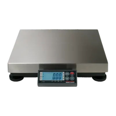 Rice Lake bench scale